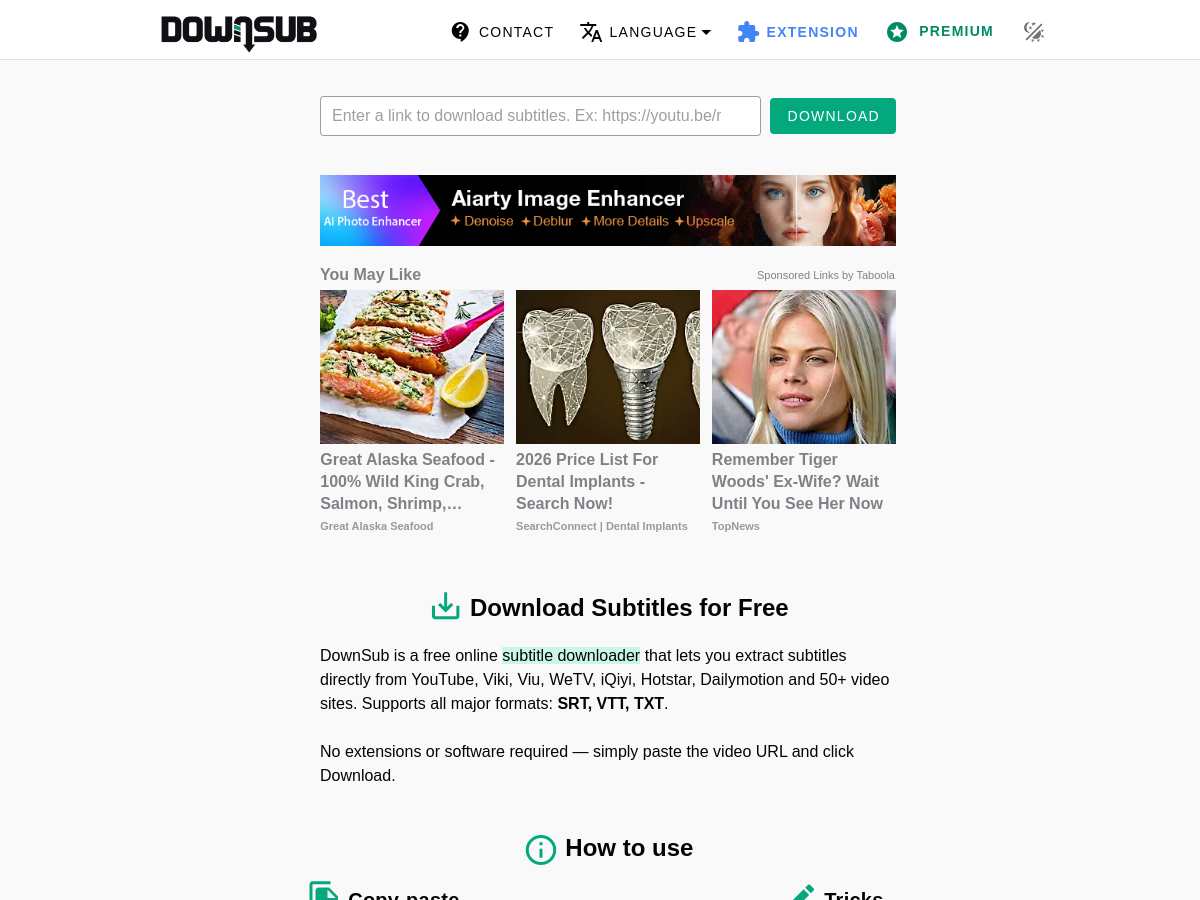 DownSub 網站擷取圖