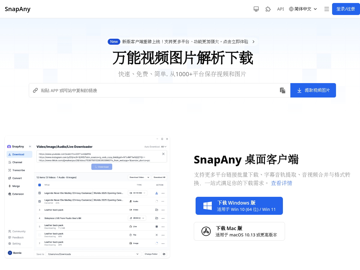 Snapany 網站擷取圖