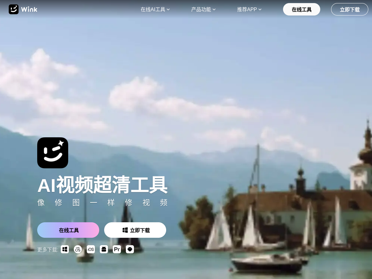 Wink 網站擷取圖