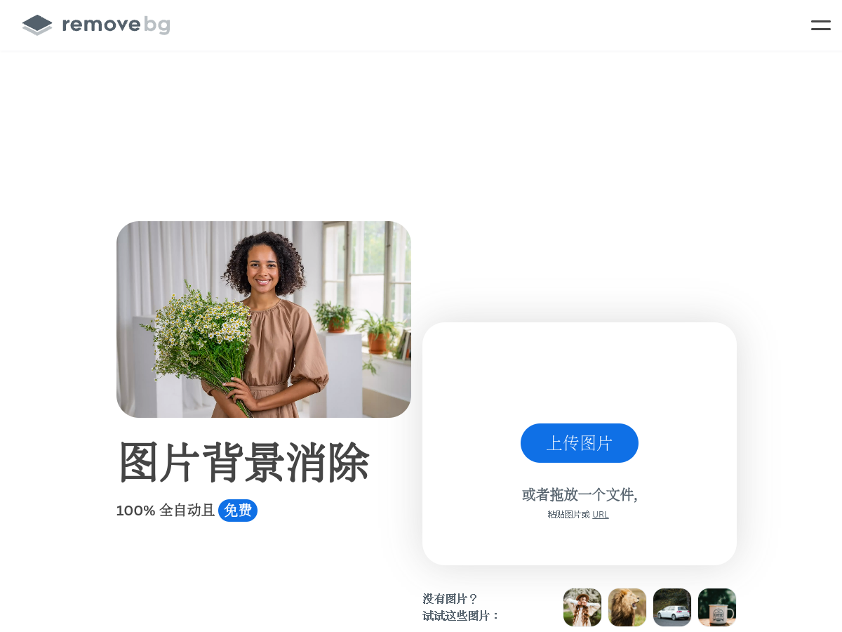 Remove 網站擷取圖