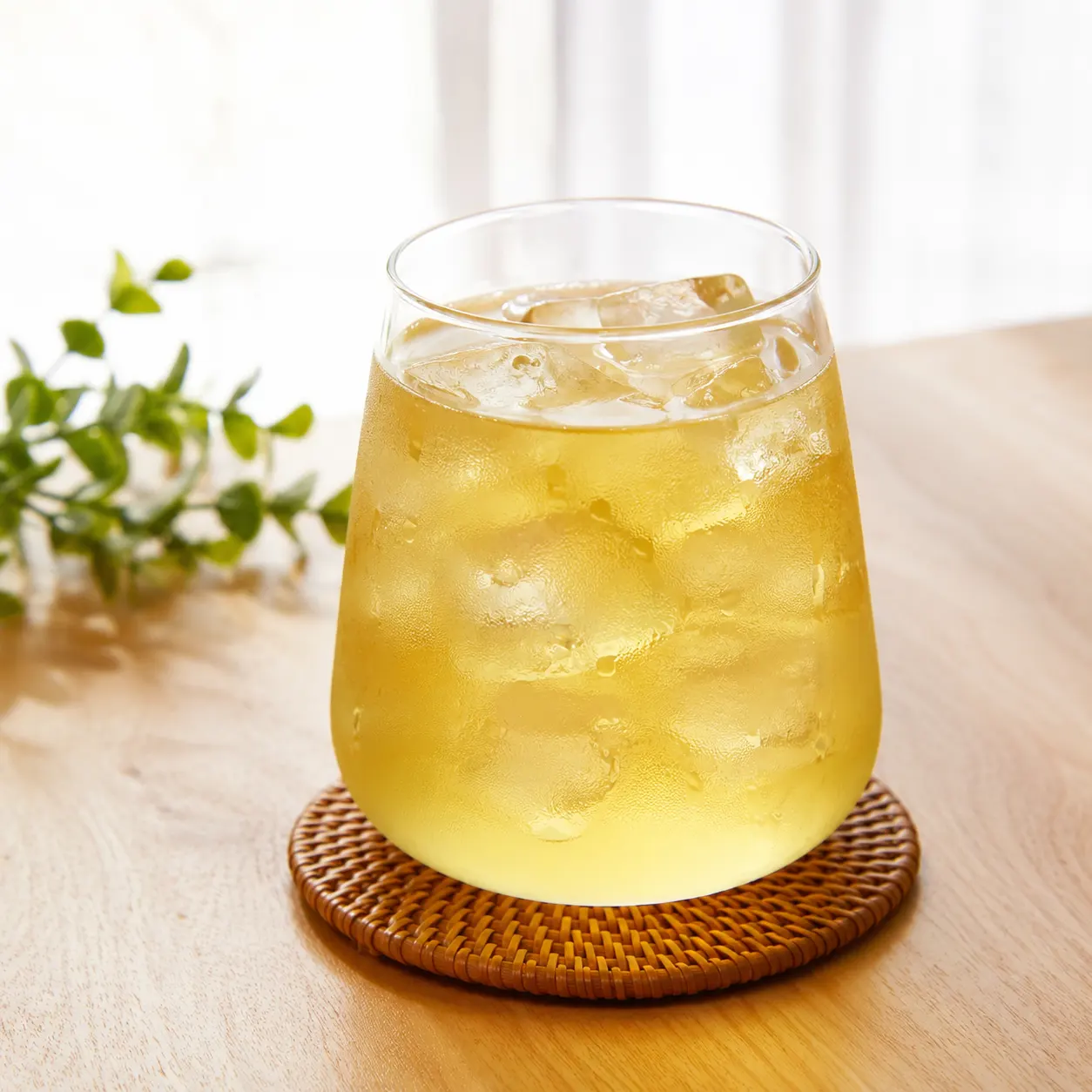 玄米綠茶冷泡