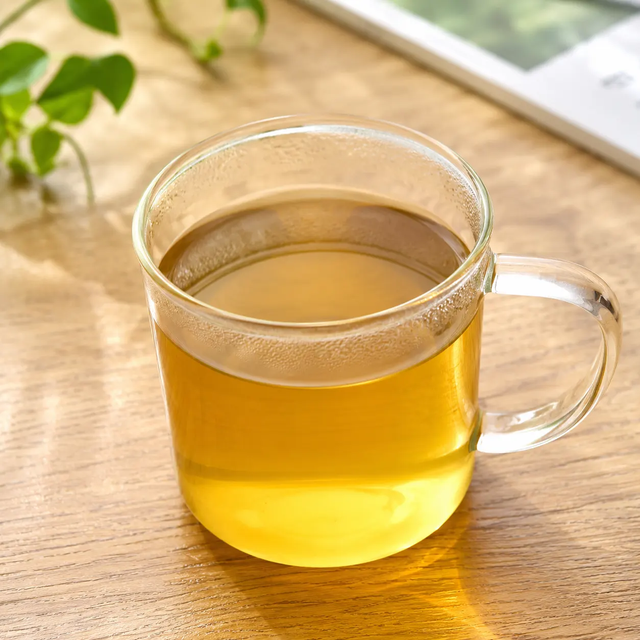 蕎麥茶