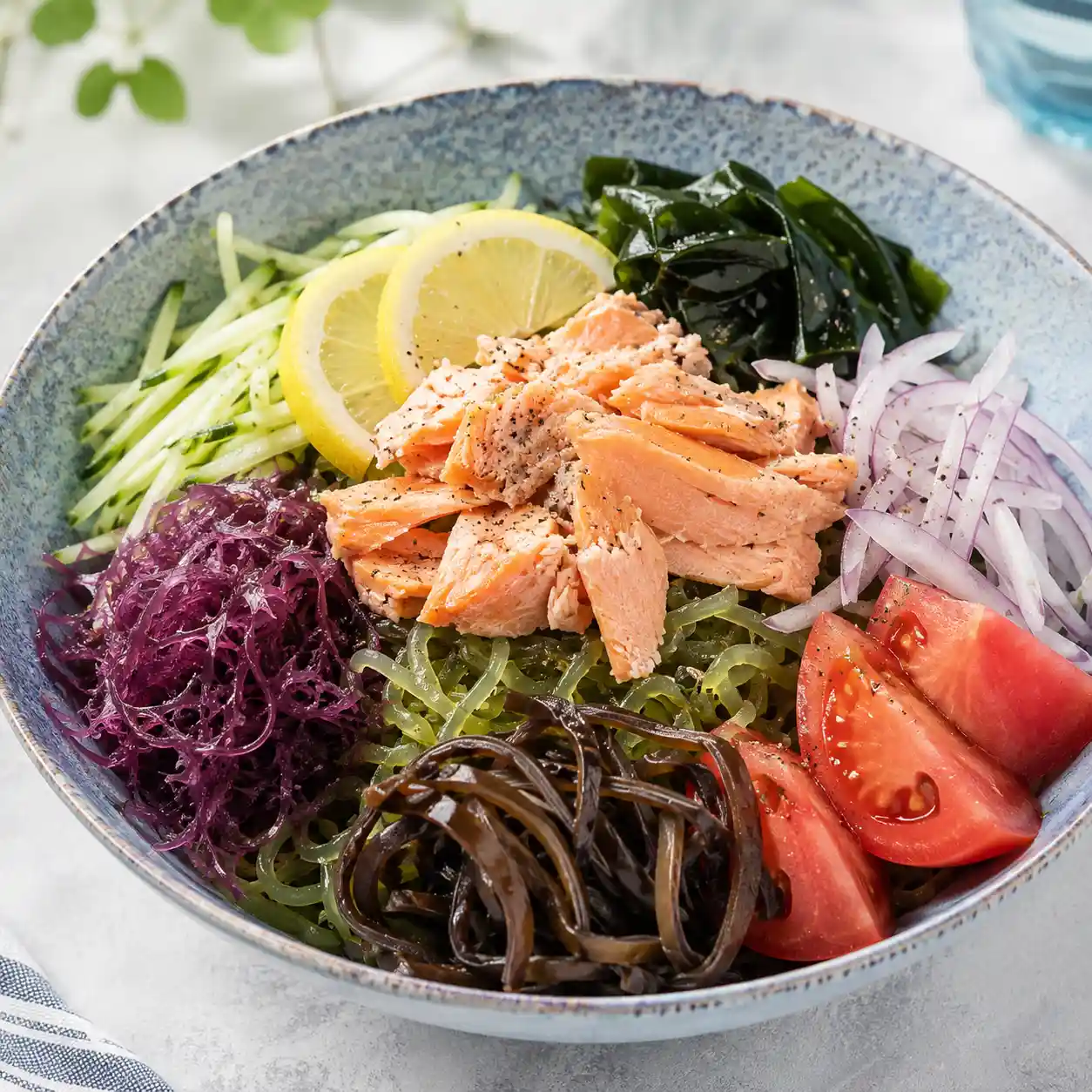 檸檬鮭魚紫菜海藻冷麵